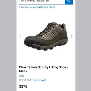 Oboz Tamarack BDry Hiking Shoe - Mens 10.5